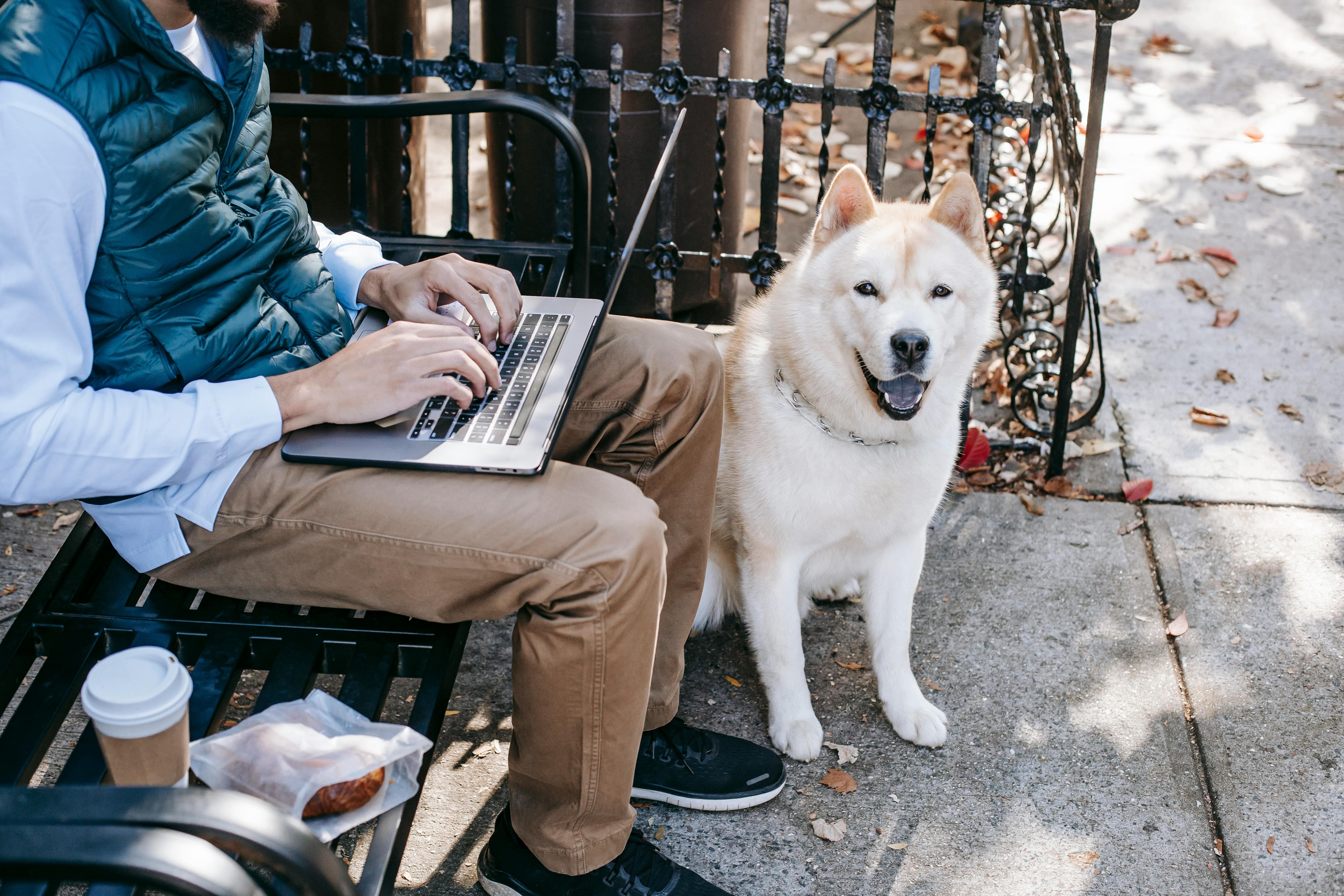The Beauty of Ordinary Days With Dogs