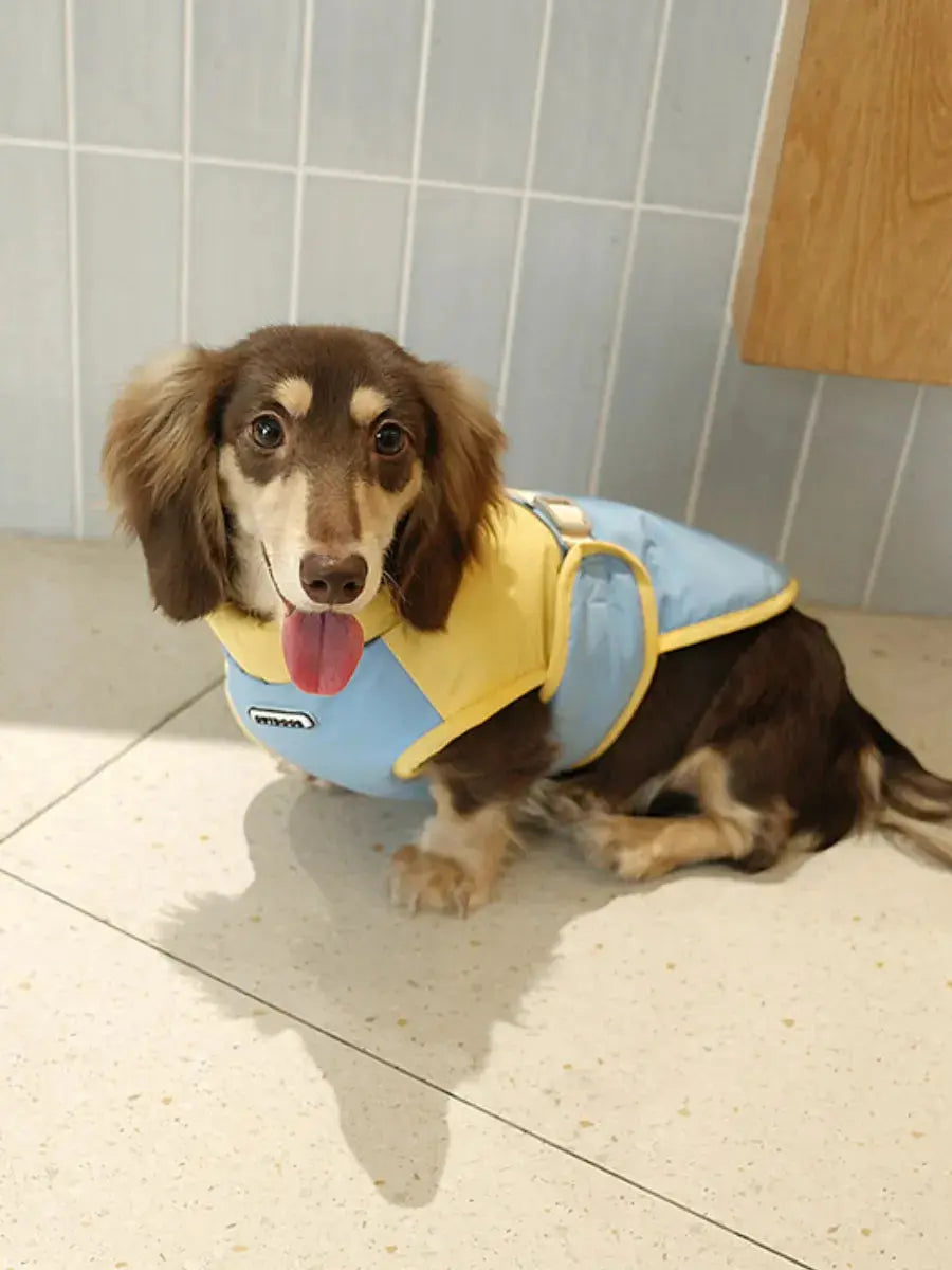 UNFENCED Daisy Colorblock Padded Coat Secondary image