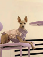 UNFENCEDLilacStripeSweater-UNF-KN-005-PP_3