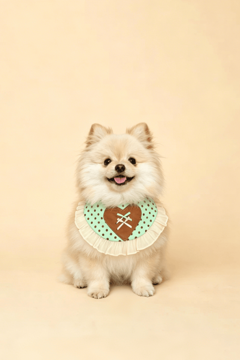 UNFENCEDMintCocoaPetBib-UNF-BB-001_1