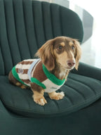 UNFENCEDWoodlandStripeSweater-UNF-KN-009_4