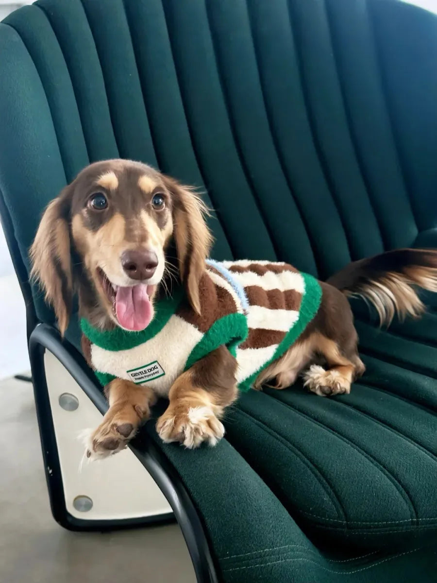 UNFENCED Woodland Stripe Sweater Secondary image