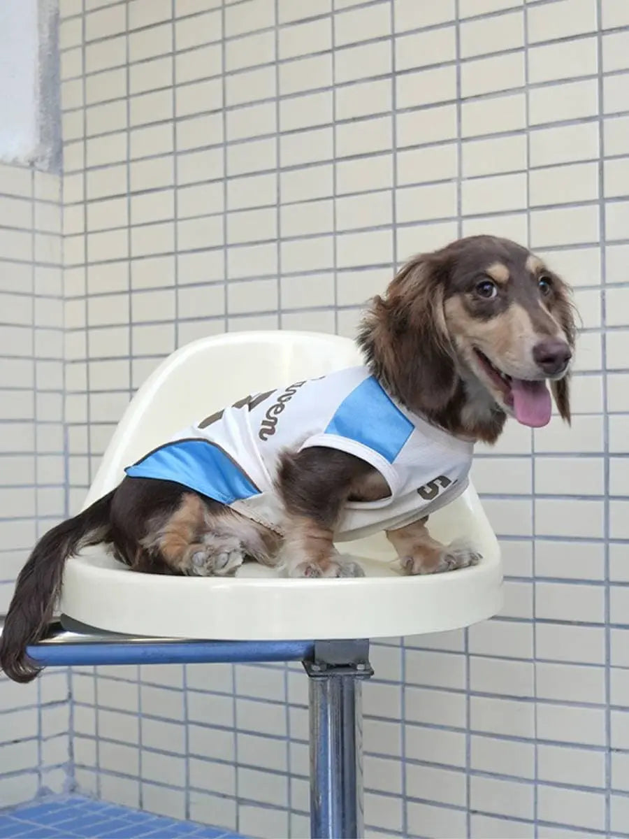 Pet Football Jersey Dog Shirt Match Day Outfit | New Haven Jersey